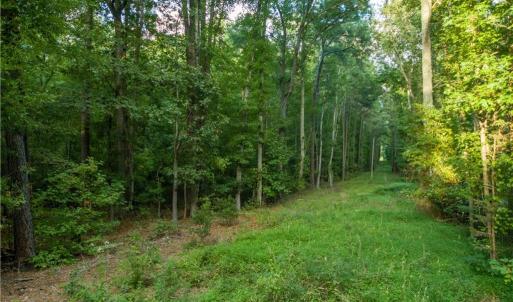 Photo #7 of Island Road, Gloucester, Virginia 10.5 acres