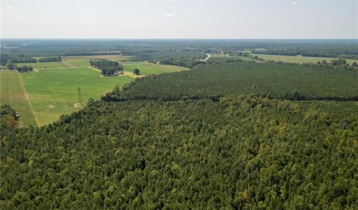 Photo #11 of 26612 DOGWOOD BEND Road, Franklin, Virginia 300.0 acres