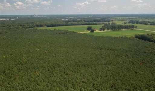 Photo #12 of 26612 DOGWOOD BEND Road, Franklin, Virginia 300.0 acres