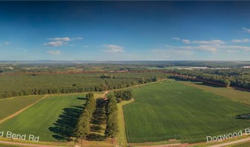 Photo #3 of 26612 DOGWOOD BEND Road, Franklin, Virginia 300.0 acres