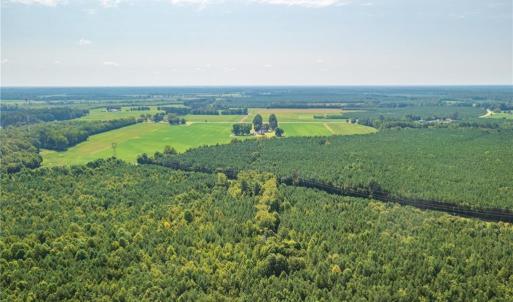 Photo #5 of 26612 DOGWOOD BEND Road, Franklin, Virginia 300.0 acres