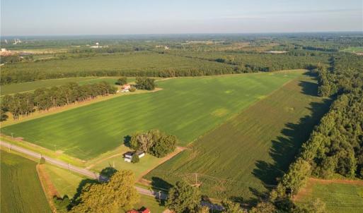 Photo #8 of 26612 DOGWOOD BEND Road, Franklin, Virginia 300.0 acres