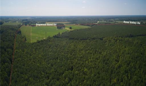 Photo #10 of 26612 DOGWOOD BEND Road, Franklin, Virginia 300.0 acres