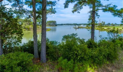View from the edge of property