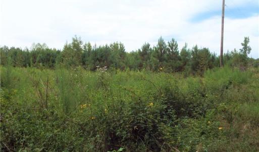 72 Acres Wooded Land