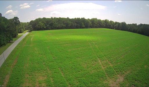 Photo #13 of 11356 OLD SUFFOLK Road, Windsor, Virginia 29.9 acres
