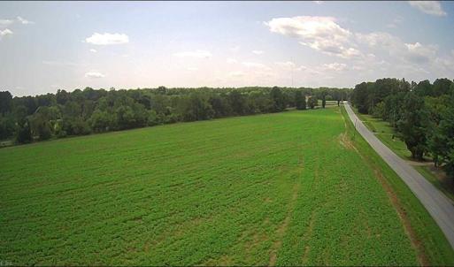 Photo #14 of 11356 OLD SUFFOLK Road, Windsor, Virginia 29.9 acres