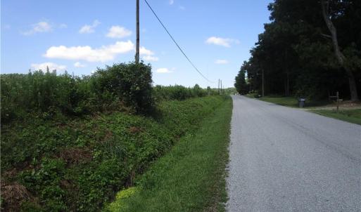 Photo #4 of 11356 OLD SUFFOLK Road, Windsor, Virginia 29.9 acres