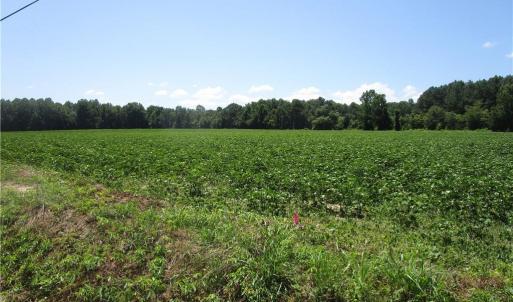 Photo #8 of 11356 OLD SUFFOLK Road, Windsor, Virginia 29.9 acres