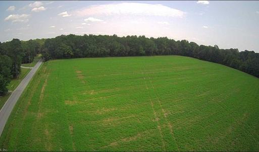 Photo #9 of 11356 OLD SUFFOLK Road, Windsor, Virginia 29.9 acres
