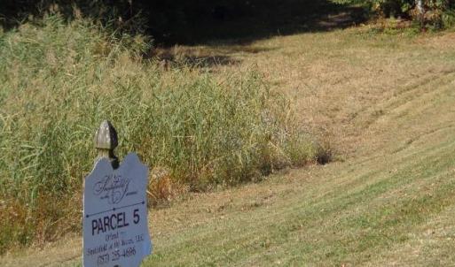 Photo #12 of 8020 Rocks Landing Road, Smithfield, Virginia 17.5 acres
