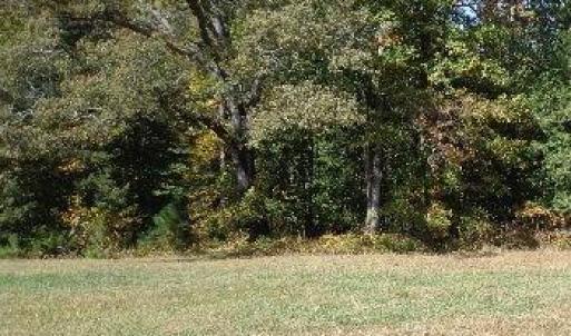 Photo #15 of 8020 Rocks Landing Road, Smithfield, Virginia 17.5 acres