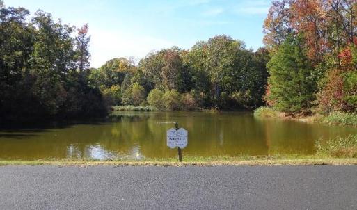 Photo #4 of 8020 Rocks Landing Road, Smithfield, Virginia 17.5 acres