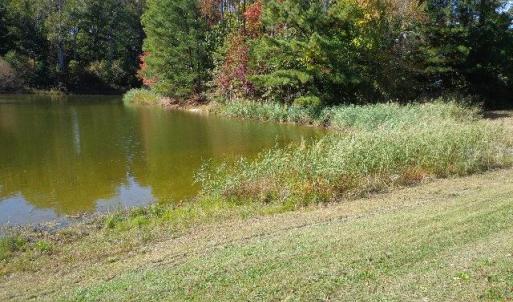 Photo #5 of 8020 Rocks Landing Road, Smithfield, Virginia 17.5 acres