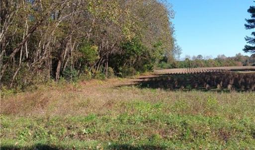 Photo #3 of SOLD property in 5 AC Signpost Road, Courtland, Virginia 5.0 acres