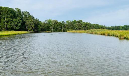 The Only Neighbors Across Lancaster Creek Are the Wildlife and Gorgeous Setting of Mature Trees and Marshes
