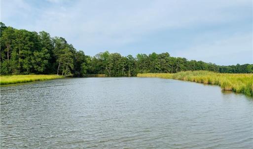 Late Summer Views of the Marshes along the Tip of Lot 4 Paddock's Waterfront