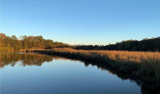 The Marshes add Personality to Paddock Drives 5 Acre Waterfront Acreage