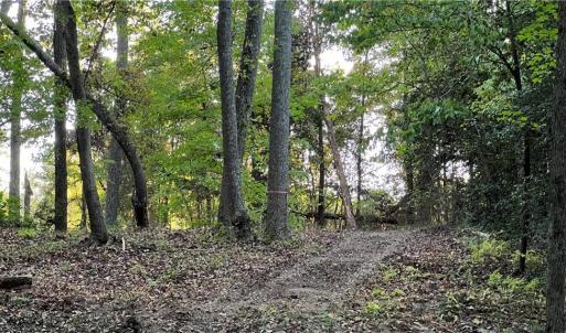 Photo #25 of Lot 4 Paddock Drive, Lancaster, Virginia 7.6 acres