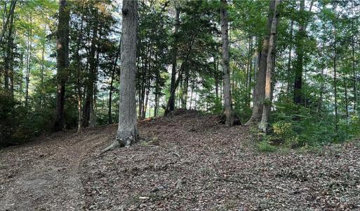 Photo #27 of Lot 4 Paddock Drive, Lancaster, Virginia 7.6 acres