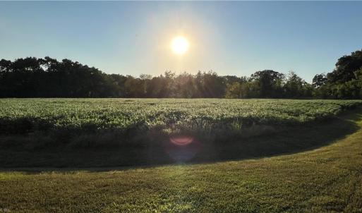 Photo #12 of Lot 4 Paddock Drive, Lancaster, Virginia 7.6 acres