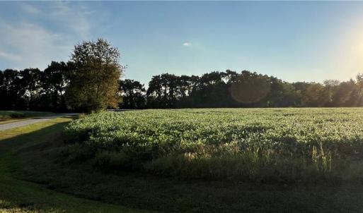 Photo #13 of Lot 4 Paddock Drive, Lancaster, Virginia 7.6 acres