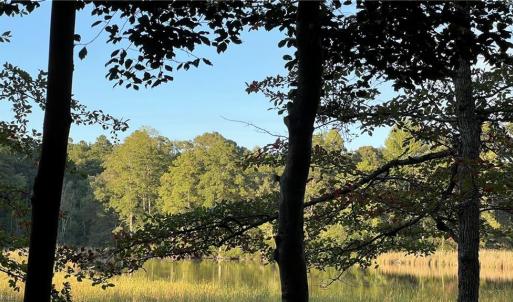 Photo #17 of Lot 4 Paddock Drive, Lancaster, Virginia 7.6 acres