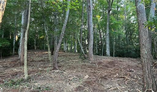Photo #19 of Lot 4 Paddock Drive, Lancaster, Virginia 7.6 acres