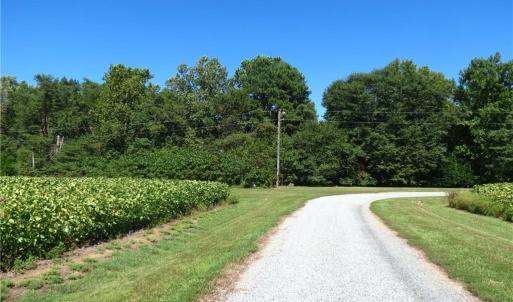 Paddock Drive in - 2.67 Acres along the Left Side of Paddock-Waterfront Acreage straight ahead