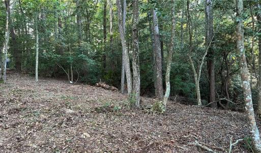 Photo #21 of Lot 4 Paddock Drive, Lancaster, Virginia 7.6 acres