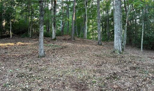 Photo #22 of Lot 4 Paddock Drive, Lancaster, Virginia 7.6 acres
