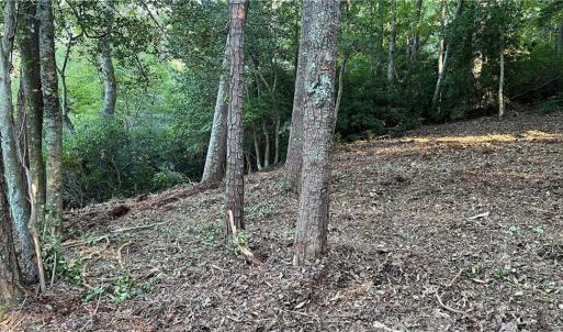 Photo #23 of Lot 4 Paddock Drive, Lancaster, Virginia 7.6 acres