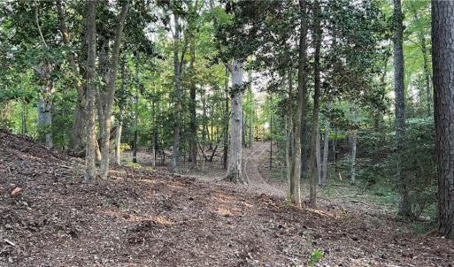 Photo #24 of Lot 4 Paddock Drive, Lancaster, Virginia 7.6 acres