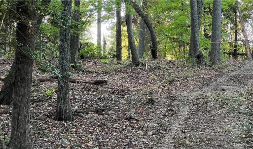Photo #26 of Lot 4 Paddock Drive, Lancaster, Virginia 7.6 acres