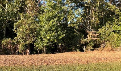 Photo #29 of Lot 4 Paddock Drive, Lancaster, Virginia 7.6 acres
