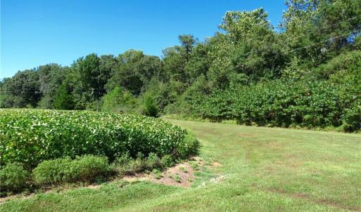 Corner of Paddock - 4+ Wooded Acreage with Lancaster Creek Water Frontage