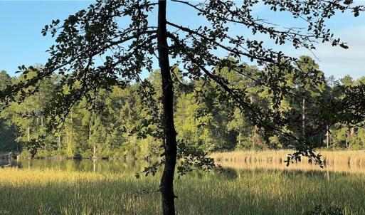 Photo #8 of Lot 4 Paddock Drive, Lancaster, Virginia 7.6 acres