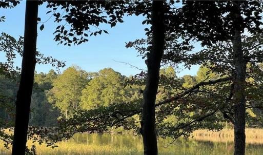 Photo #17 of Lot 4 Paddock Drive, Lancaster, Virginia 7.6 acres