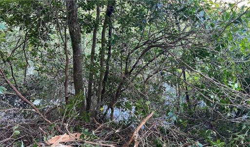 Photo #18 of Lot 4 Paddock Drive, Lancaster, Virginia 7.6 acres