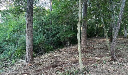 Photo #20 of Lot 4 Paddock Drive, Lancaster, Virginia 7.6 acres