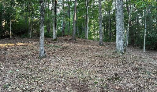 Photo #22 of Lot 4 Paddock Drive, Lancaster, Virginia 7.6 acres