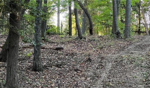 Photo #26 of Lot 4 Paddock Drive, Lancaster, Virginia 7.6 acres
