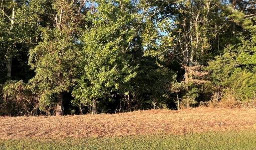 Photo #29 of Lot 4 Paddock Drive, Lancaster, Virginia 7.6 acres