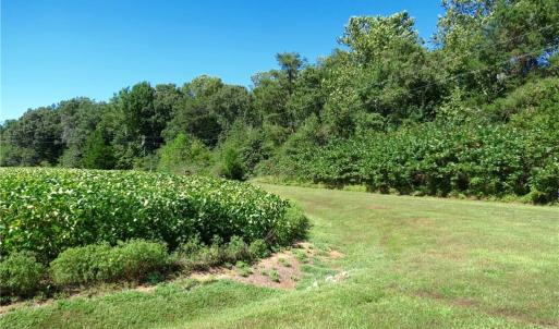 Corner of Paddock - 4+ Wooded Acreage with Lancaster Creek Water Frontage