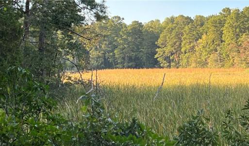 Photo #9 of Lot 4 Paddock Drive, Lancaster, Virginia 7.6 acres