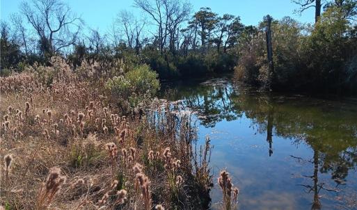 Photo #3 of RT 615 Parker Lane, Knotts Island, North Carolina 10.0 acres