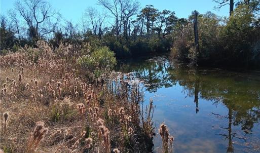 Photo #3 of RT 615 Parker Lane, Knotts Island, North Carolina 10.0 acres