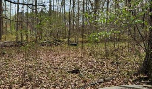 Photo #5 of 1700 Mayberry Drive, Virginia Beach, Virginia