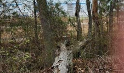 Photo #6 of 1700 Mayberry Drive, Virginia Beach, Virginia