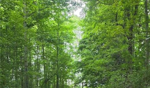 Photo #2 of 1700 Mayberry Drive, Virginia Beach, Virginia
